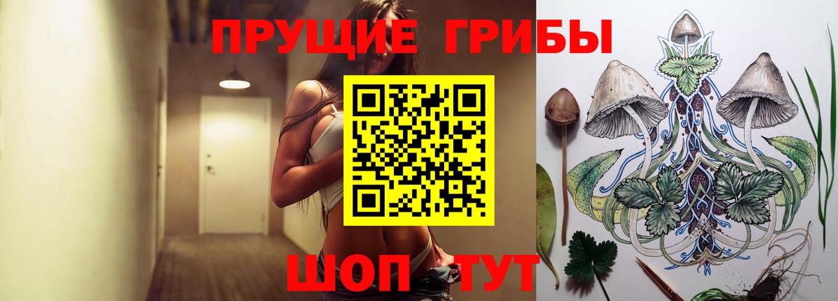 Галлюциногенные грибы GOLDEN TEACHER  Псилоцибиновые грибы Psilocybe  Вход с VPN  Россошь 